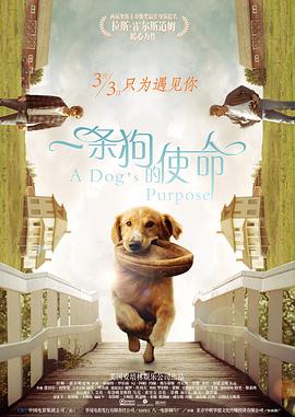 综合成人