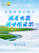 99视频精品全部免费免费观