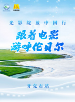 午夜dy888
