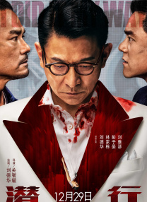 在线另类视频